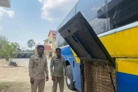 ស៊ុតមាន់ជាង៦ម៉ឺនគ្រាប់ ដែលឈ្មួញលួចបង្កប់តាមរថយន្តក្រុង ដឹកពីខេត្តកំពង់ស្ពឺ មកចែកចាយនៅក្នុងខេត្តបន្ទាយមានជ័យគ្មានច្បាប់ ត្រូវបានពេទ្យសត្វ ចុះបង្ក្រាប