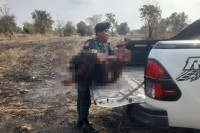 បុរសម្នាក់ដើរបេះបន្លែយកទៅលក់ ដើម្បីផ្គត់ផ្គង់ជីវភាពក្នុងគ្រួសារ បានជាន់មីនផ្ទុះ បណ្តាលឲ្យរងរបួសធ្ងន់ ត្រូូវបាននគរបាលដឹកបញ្ជូនទៅសង្គ្រោះនៅឯមន្ទីពេទ្យភ្លាមៗ