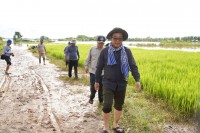 ឯកឧត្តម តូច ប៊ុនហួរ ដឹកនាំក្រុមការងារអញ្ជើញចុះពិនិត្យ និងវាយតម្លៃផលប៉ះពាល់ដំណាំស្រូវដែលខូចខាតដោយសារទឹកជំនន់ នៅក្នុងខេត្តក្រចេះ